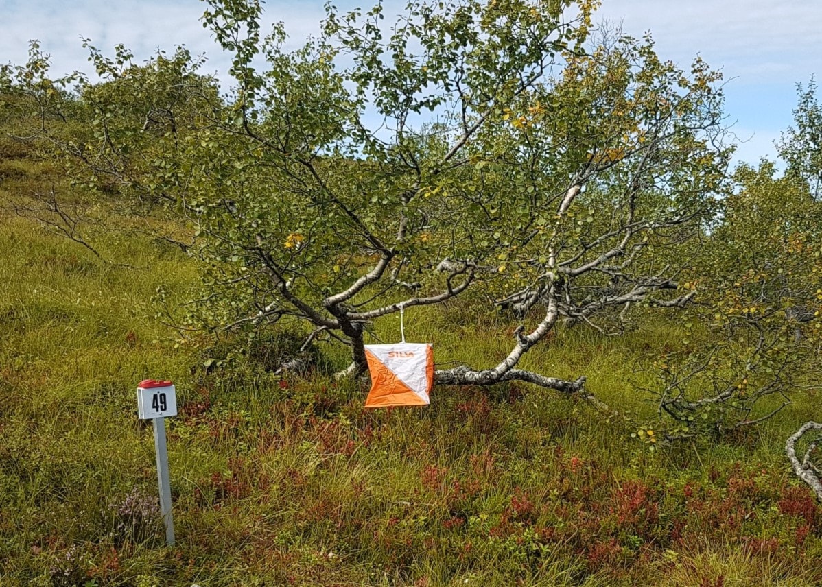 Nærløp Kinna 1. september - med resultat